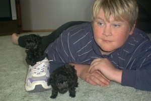 dev-calista-pups.jpg